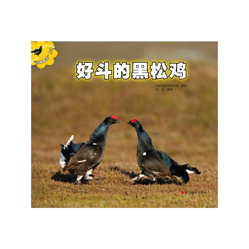好斗的黑松鸡·动物星座