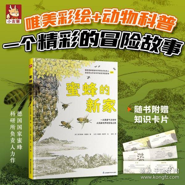 蜜蜂的新家