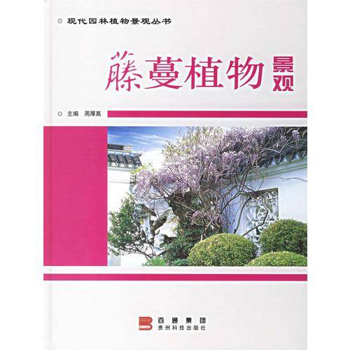 藤蔓植物景观