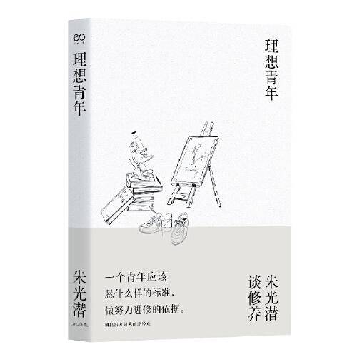 理想青年