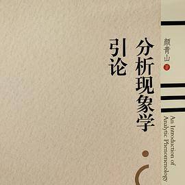 分析现象学引论