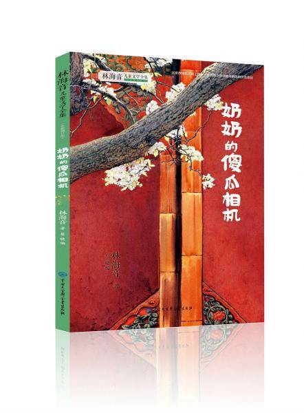 奶奶的傻瓜相机
