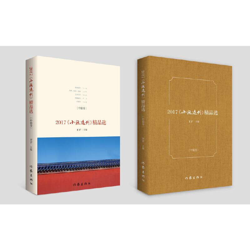 2017小说选刊精品选（中篇卷）