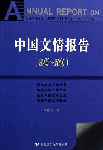 中国文情报告