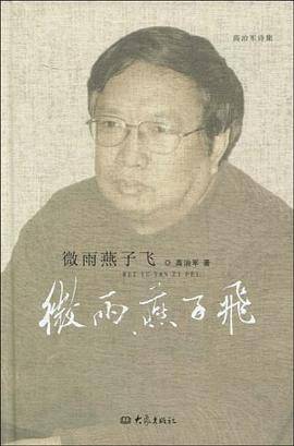 微雨燕子飞