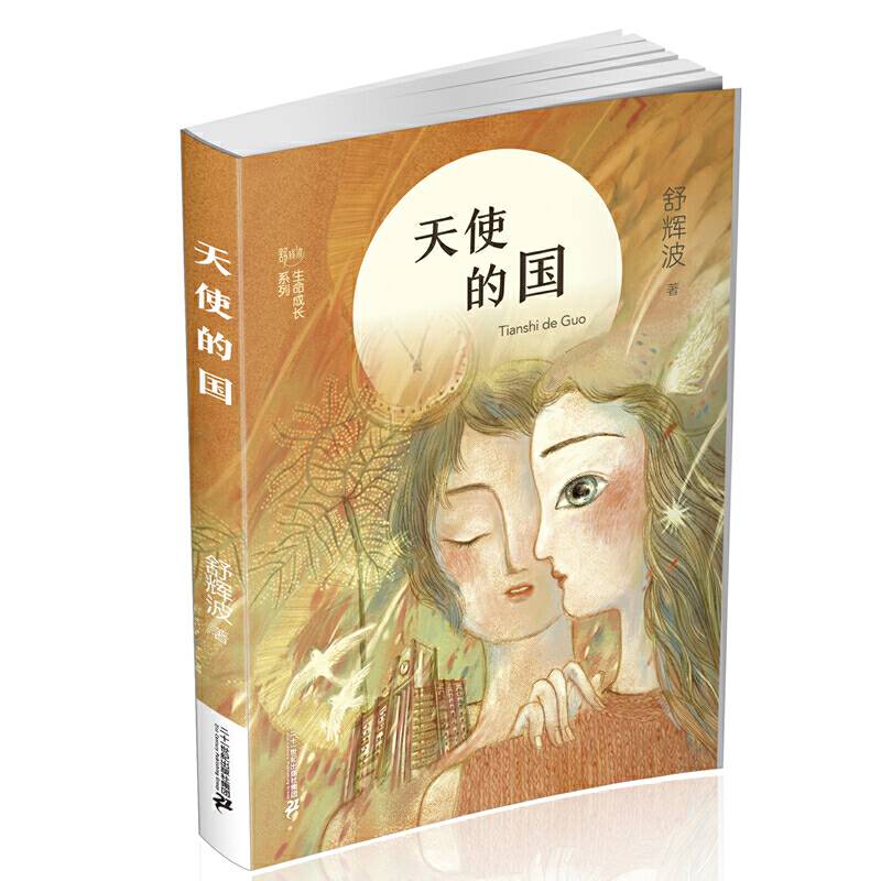舒辉波生命成长系列 天使的国