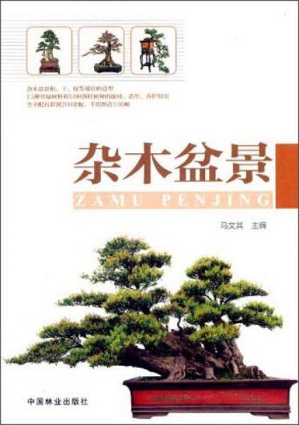 杂木盆景