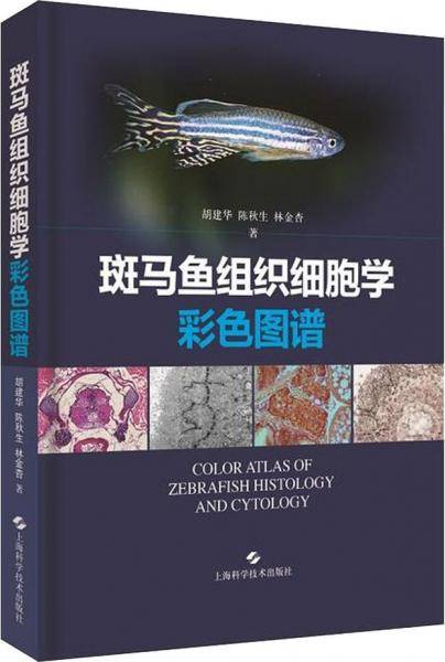 斑马鱼组织细胞学彩色图谱