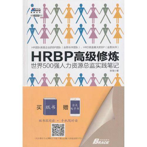 HRBP高级修炼：世界500强人力资源总监实践笔记