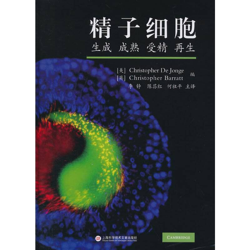 精子细胞：生成 成熟 受精 再生