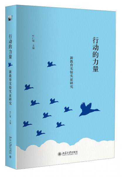 行动的力量:新教育实验实证研究