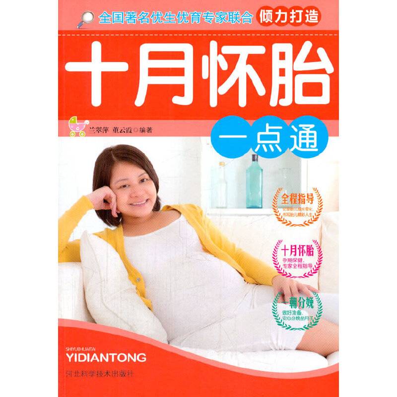 十月怀胎一点通