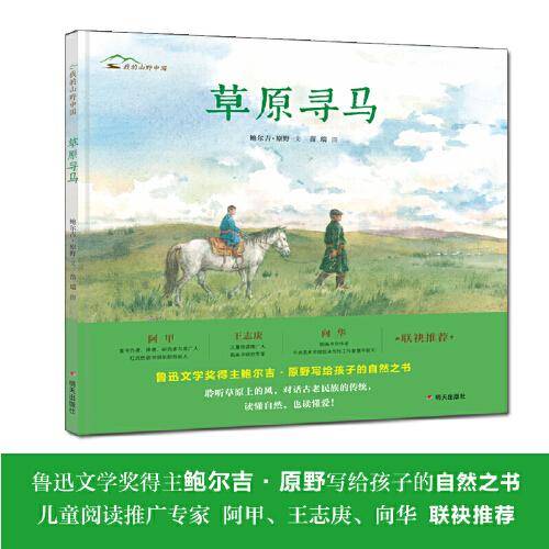 我的山野中国-草原寻马