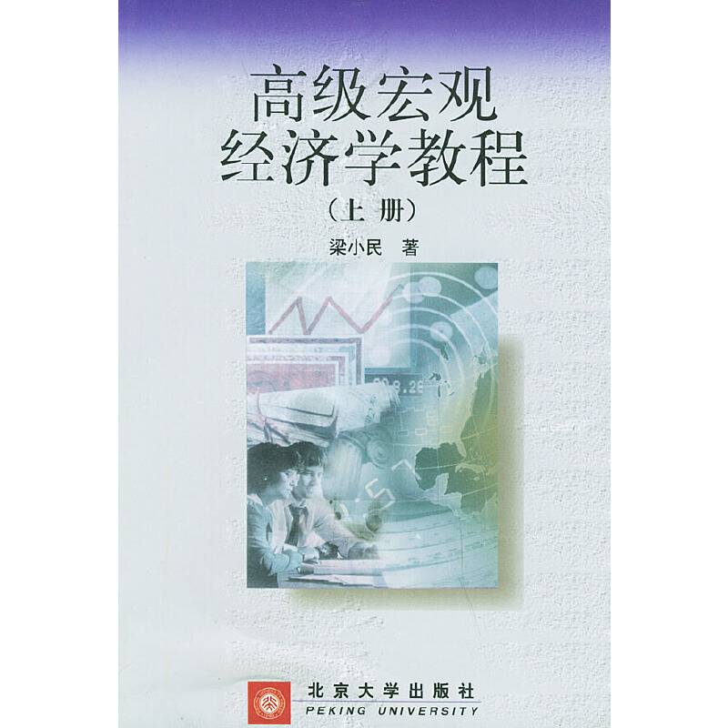 高级宏观经济学教程