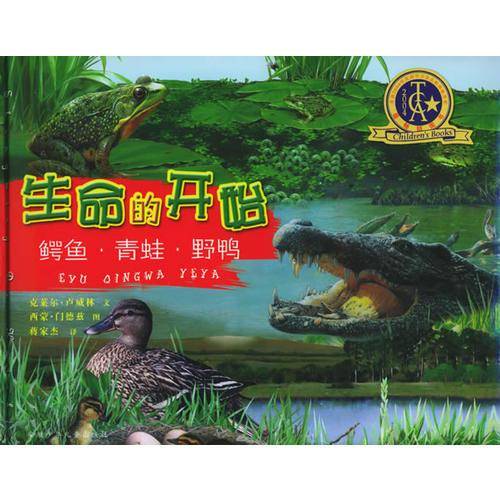 生命的开始