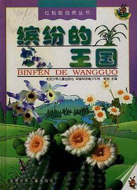 缤纷的王国