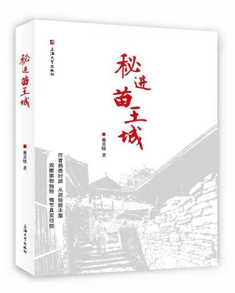 秘进苗王城