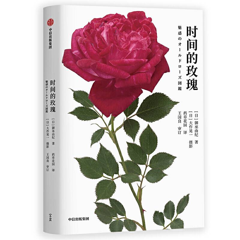 时间的玫瑰