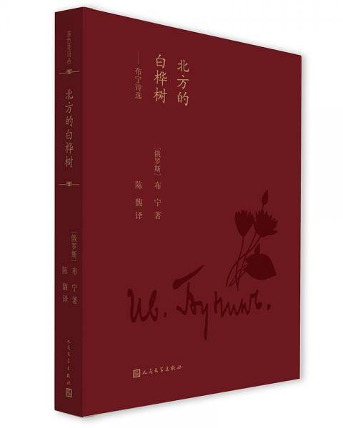 北方的白桦树