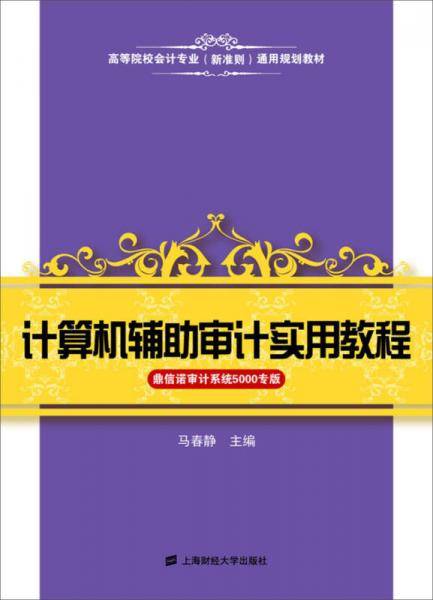 计算机辅助审计实用教程