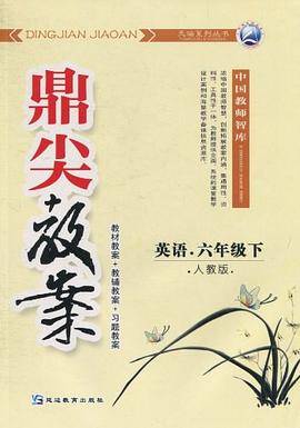 鼎尖教案（6年级下）