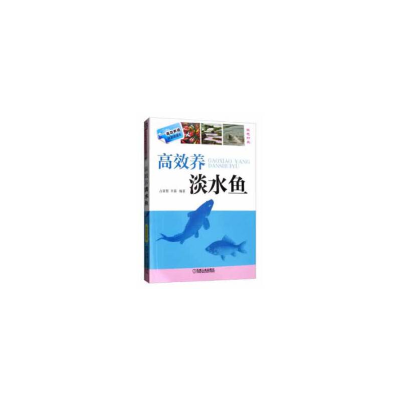 高效养淡水鱼