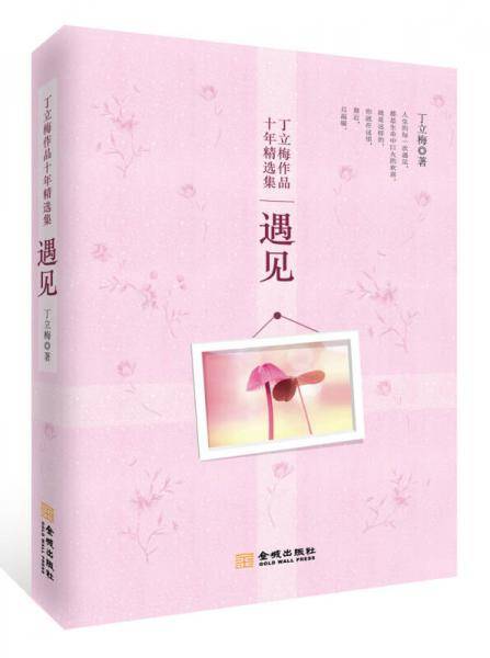 遇见(著名作家丁立梅作品十年精选集之二，清新、自然、纯朴的文字，感动着众多读者的心！沁人心脾、心灵鸡汤式的智慧哲理让人回味无穷！)