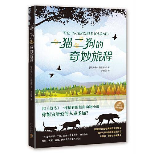 一猫二狗的奇妙旅程