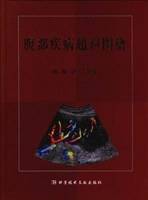 腹部疾病超声图谱