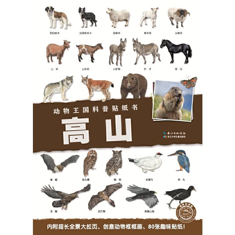 动物王国科普贴纸书：高山