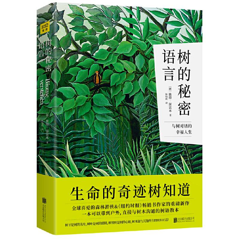 树的秘密语言