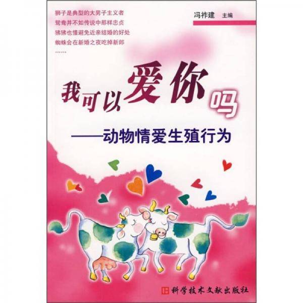 我可以爱你吗