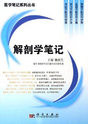 解剖学笔记