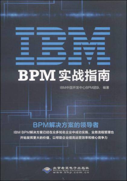 IBM BPM实战指南