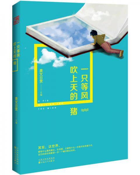 一只等风吹上天的猪