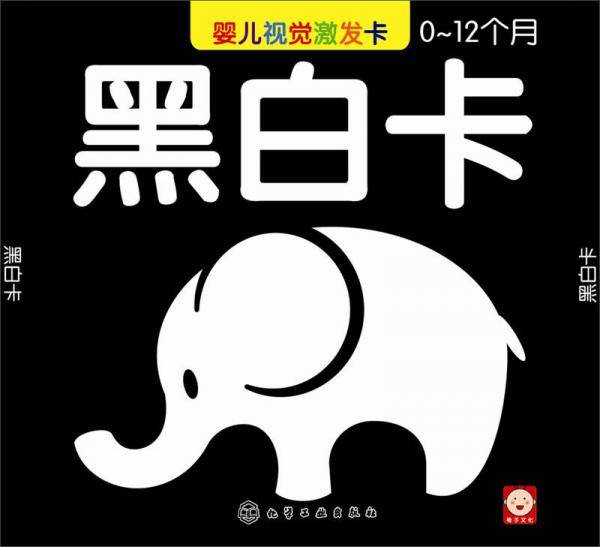 婴儿视觉激发卡 黑白卡:0-12个月(婴儿视觉激发卡 黑白卡 0~12个月)