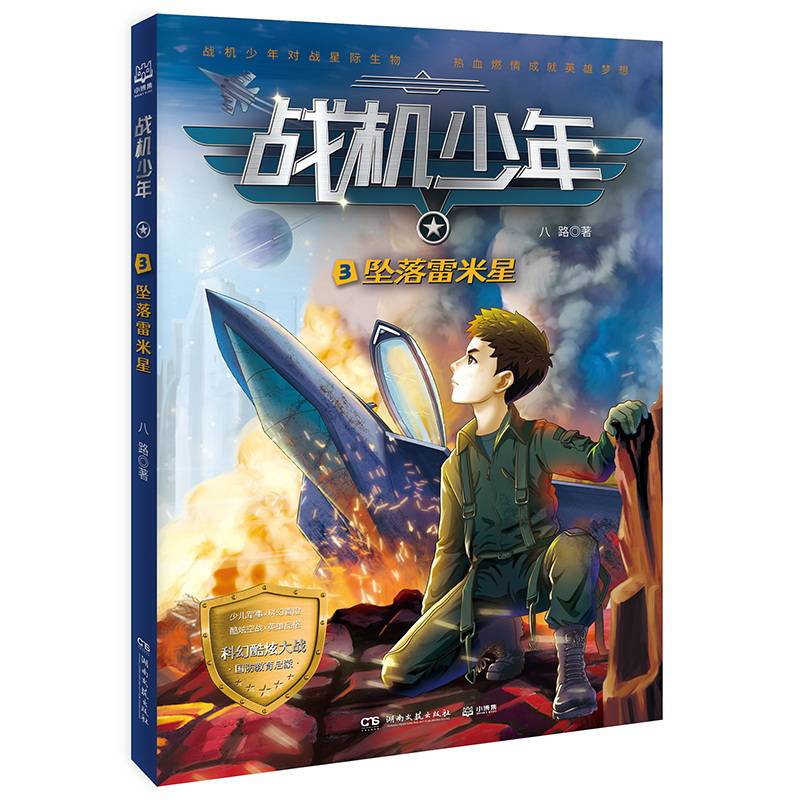战机少年3：坠落雷米星