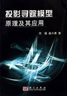 投影寻踪模型原理及其应用