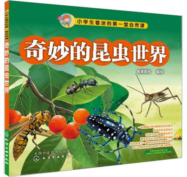 奇妙的昆虫世界