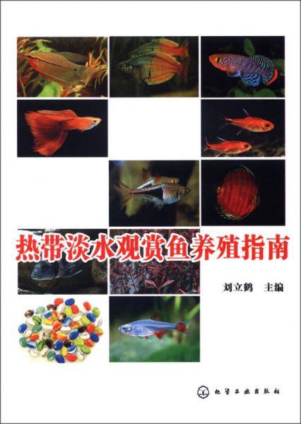 热带淡水观赏鱼养殖指南
