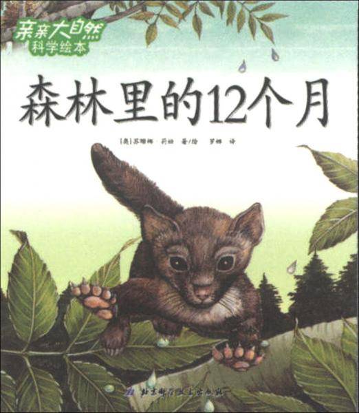 森林里的12个月