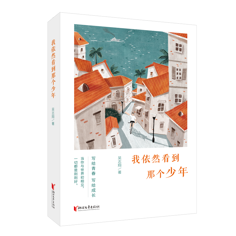 我依然看到那个少年