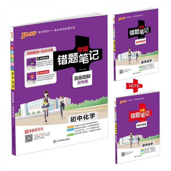 学霸错题笔记・漫画图解：初中化学（2018版 附高效训练册）