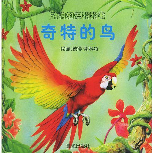 奇特的鸟
