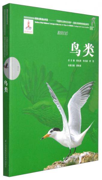 鸟类
