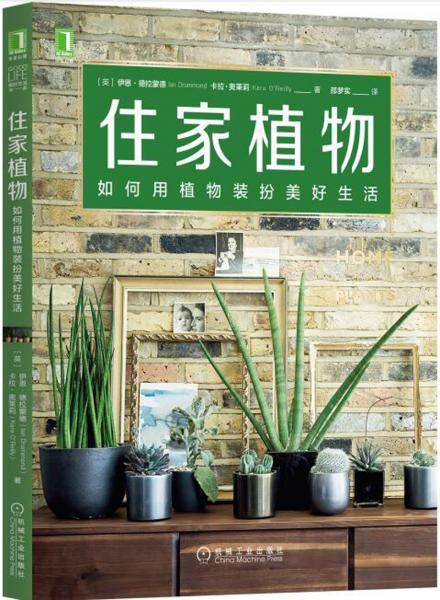 住家植物：如何用植物装扮美好生活