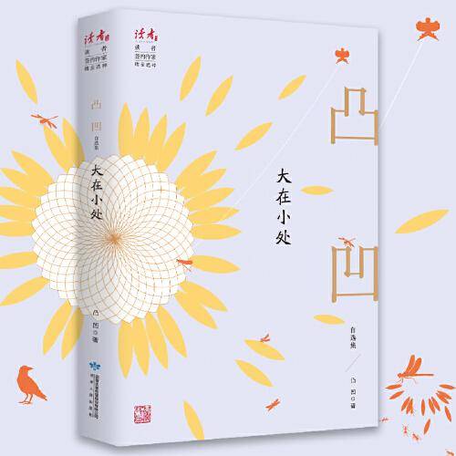 大在小处：凸凹自选集