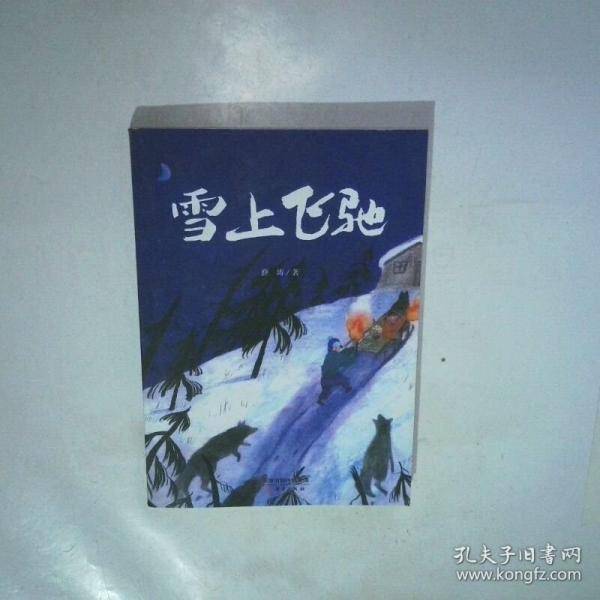 雪上飞驰