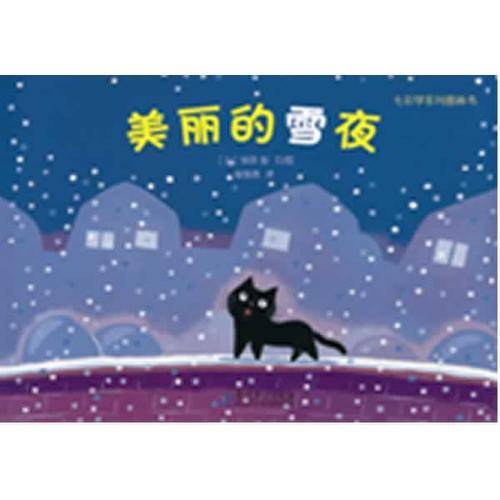 美丽的雪夜