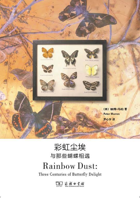 彩虹尘埃